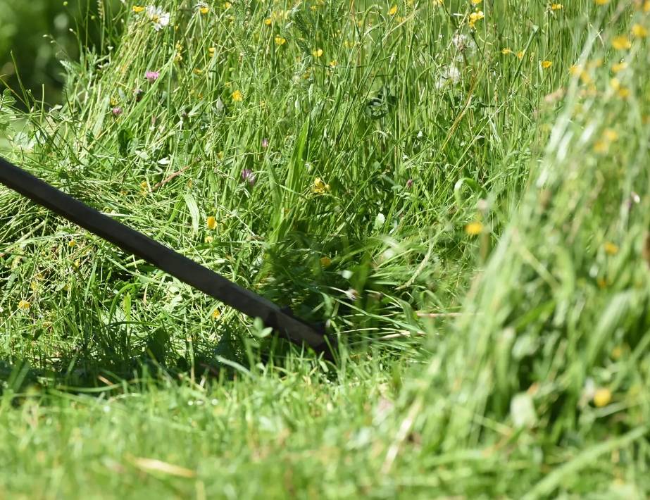 cut the grass with a scythe