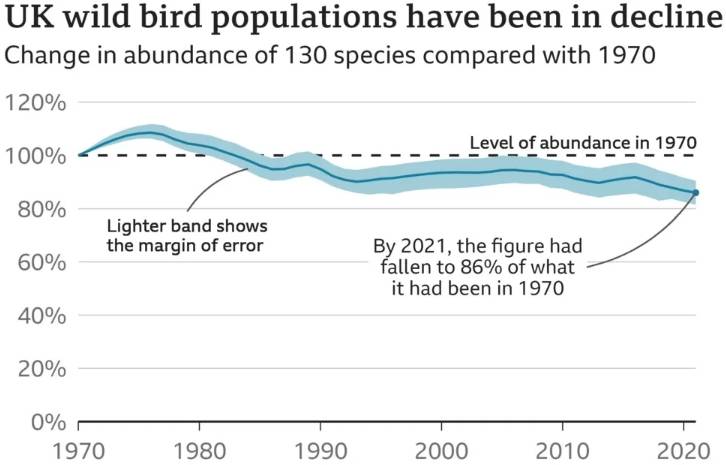 Bird decline, BBC